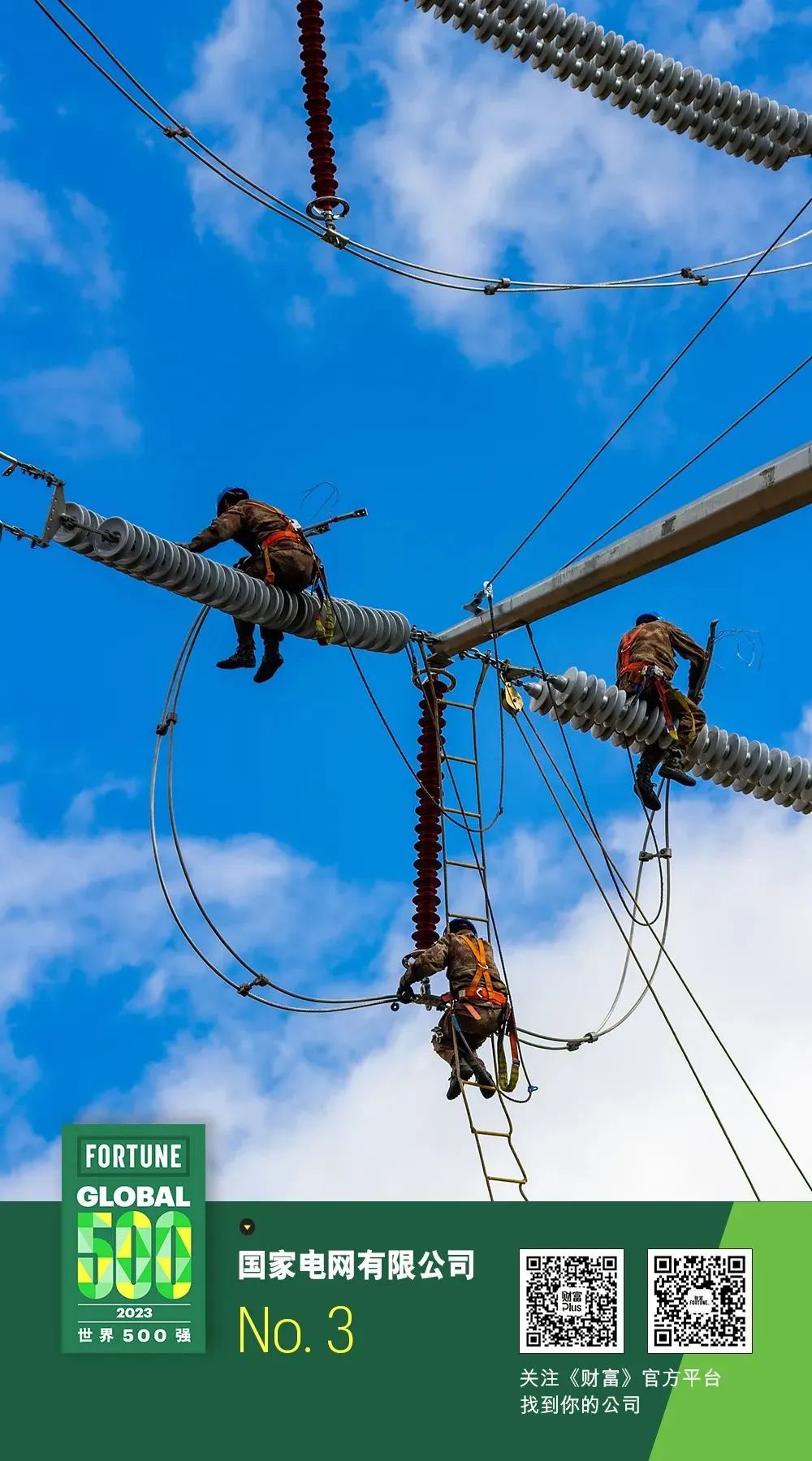 攜手百家2023《財富》世界500強，保利威為沃爾瑪、中國石化等企業提供視頻SaaS服務